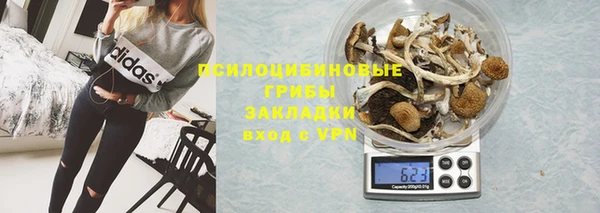 ешки Аркадак