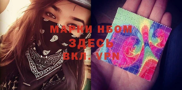 ешки Аркадак