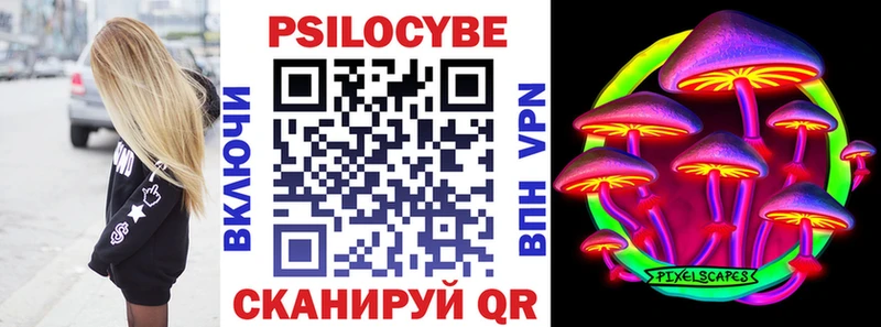 дарнет шоп  Павлово  Галлюциногенные грибы мухоморы 